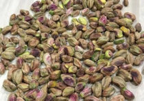 Pishori pistachios